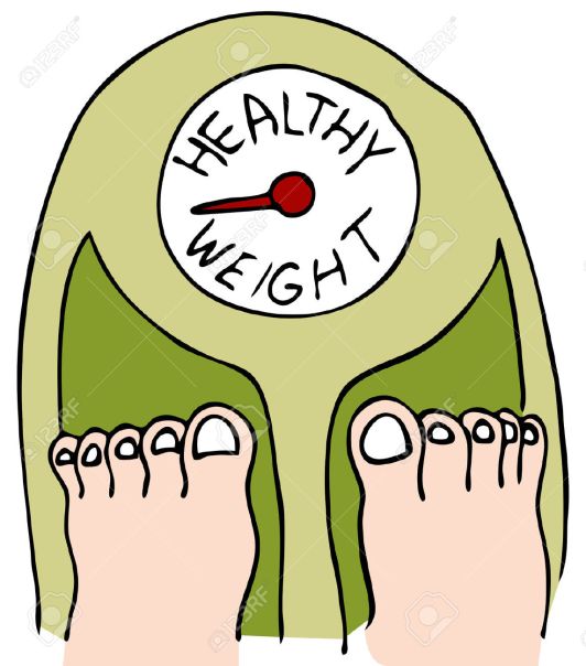 8535053-An-image-of-a-person-standing-on-a-scale--Stock-Vector-weight-loss-healthy